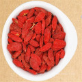 From Tibetan plateau Manufacturer Wild Organic Wholesale lycium chinense fruit extract Wolfberry goji berries